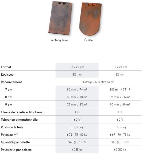 Tuiles Monuments historiques Aléonard format