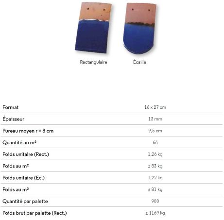 Tuiles Monuments historiques Aléonard format