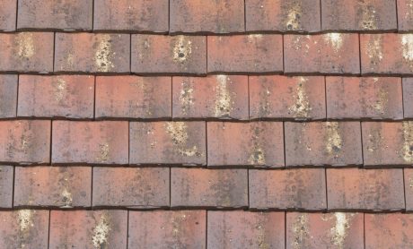 Vert de Lichen - Collection Esprit Patrimoine - Rectangulaire