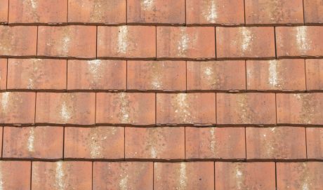 Ocré Lichen - Collection Esprit Patrimoine - Rectangulaire