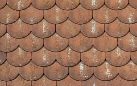 Ocré Lichen - Collection Esprit Patrimoine Ecaille