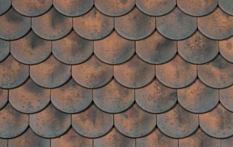 Noir de Vigne - Collection Esprit Patrimoine - Ecaille