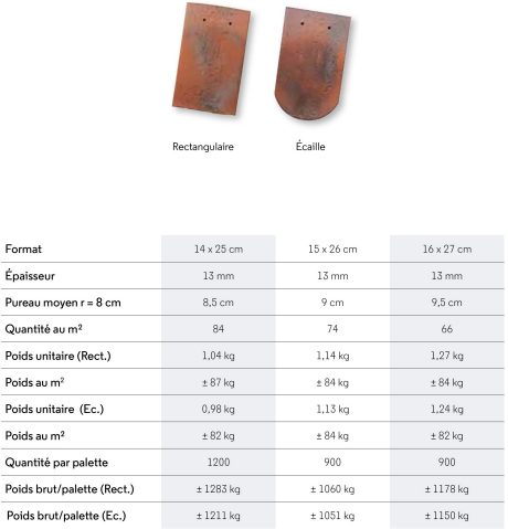 Tuiles Monuments historiques Aléonard format