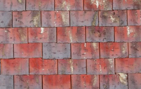 Vert de lichen - Collection Monuments Historiques