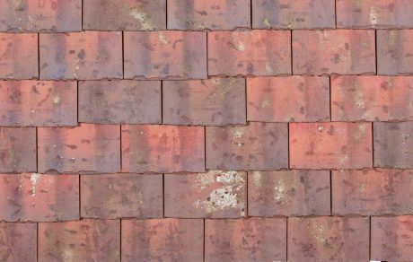 Ocré Lichen - Collection Monuments Historiques