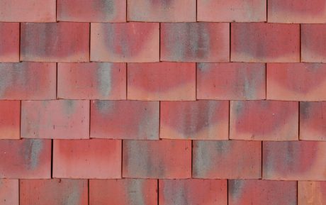 Vieilli Naturel - Collection Monuments Historiques