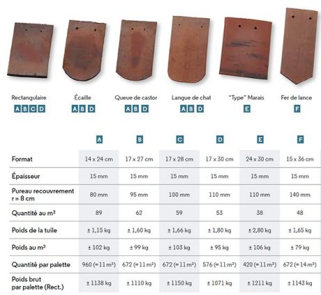 Tuiles Monuments historiques Aléonard format