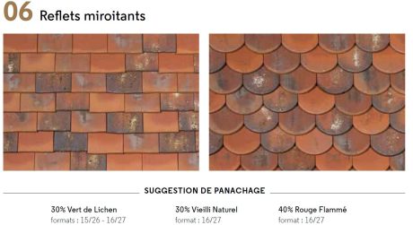 Alliance Suggestion 06 Reflets miroitantsTuiles Aléonard