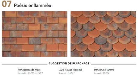 Alliance Suggestion 07 Poésie enflammée Tuiles Aléonard