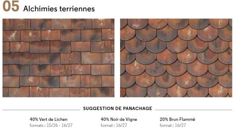 Alliance Suggestion 05 Alchimies terriennes Tuiles Aléonard