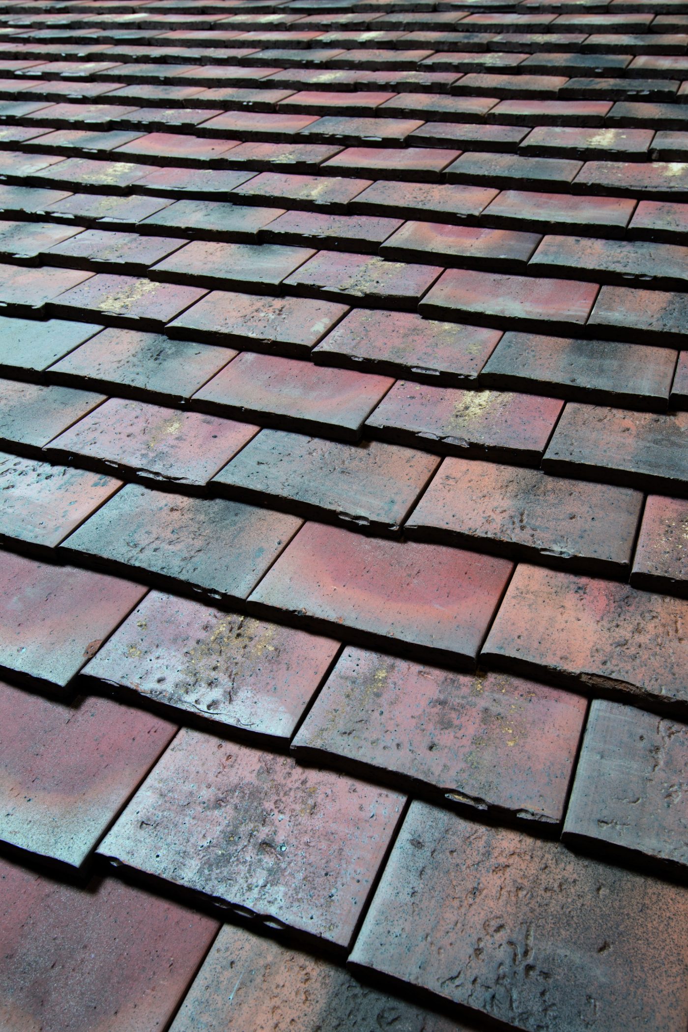 texture Esprit Patrimoine Alliance n°5